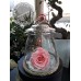 Beauty And The Beast  For Ever  Pale Pink  Glass Mushroom